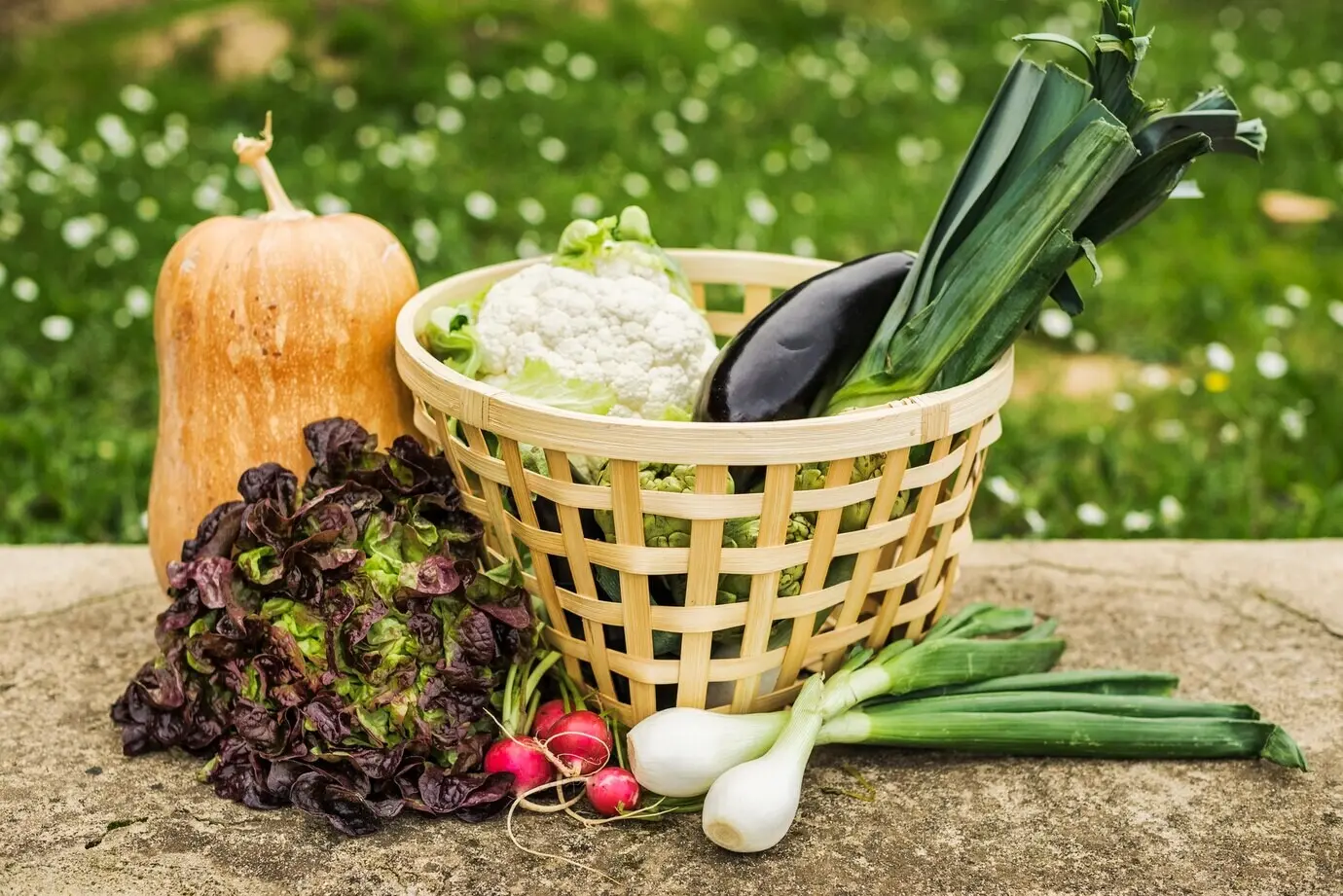 Korb mit gesundem, reifem Gemüse im Garten