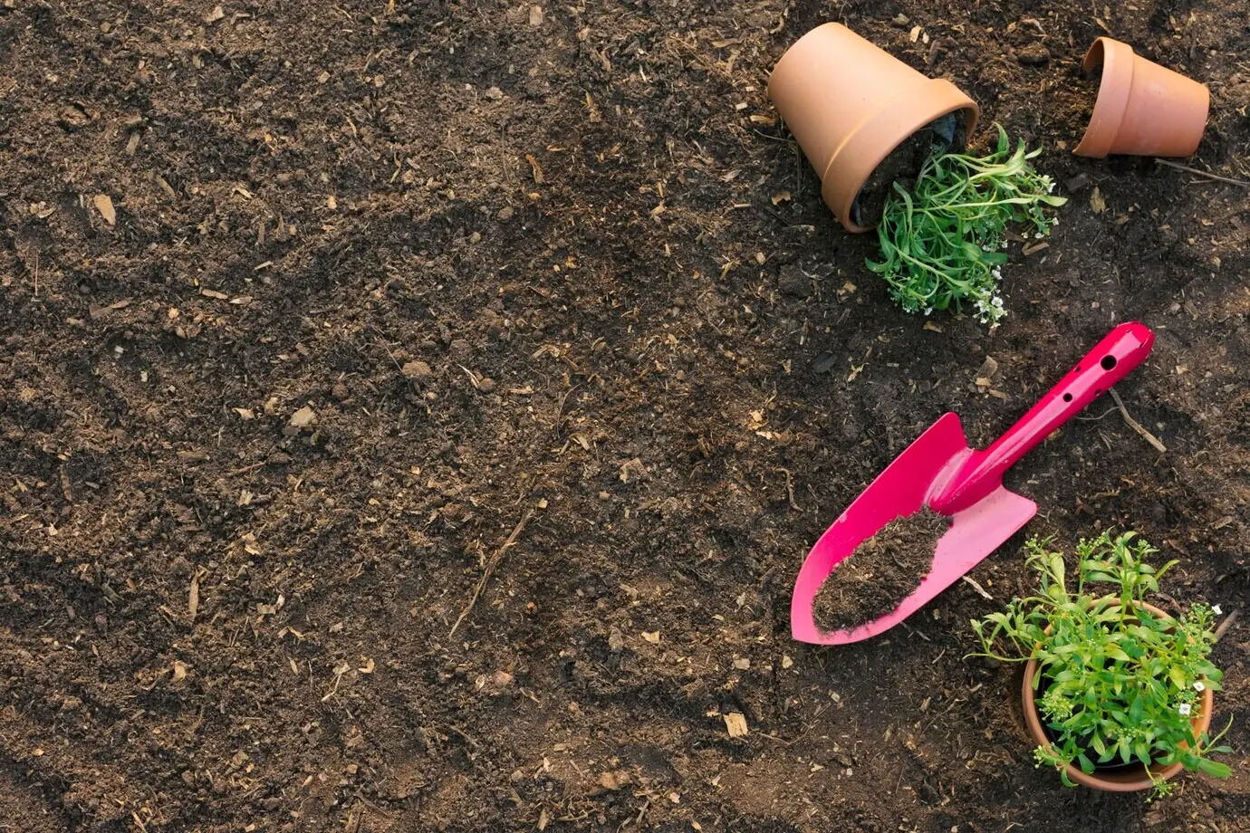 Ein Spaten und Blumentöpfe auf dem Boden.